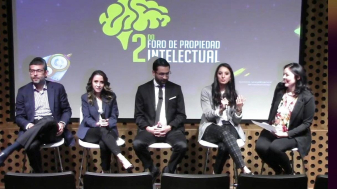 Foto2C2B0forodepropiedadIntelectual
