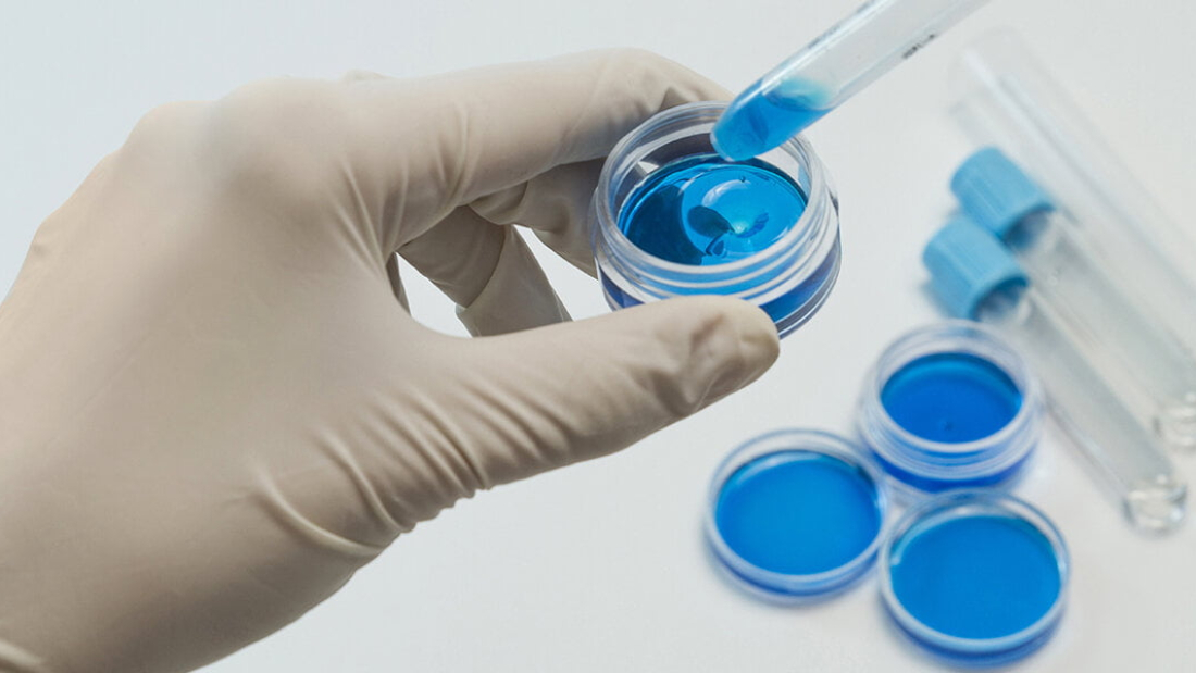 lab