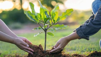 Las+Incidencias+climáticas+en+Guatemala+Juan+Esteban+Berger.